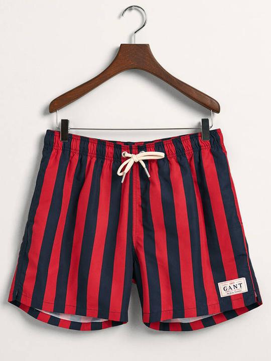 GANT Swim Short Block Stripe