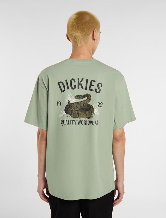 Actual product image Dickies Snake Ss Tee Iceberg Green (XL)