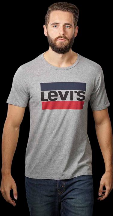 Levis Sportswear Logo Graphic 84 T-Shirt light grey (XXL)