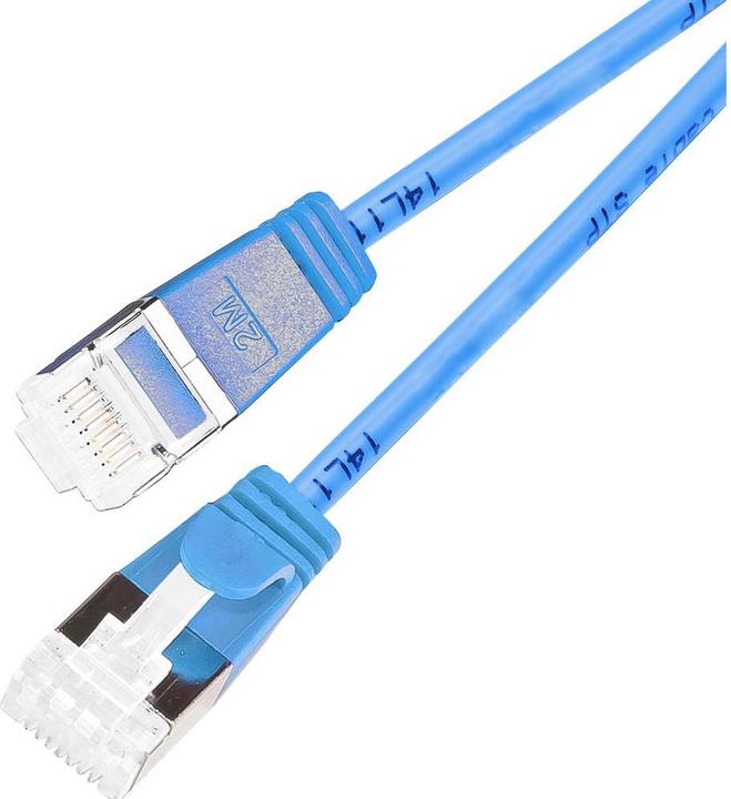 Image du produit Wirewin Câble réseau (UTP, CAT6, 3 m)