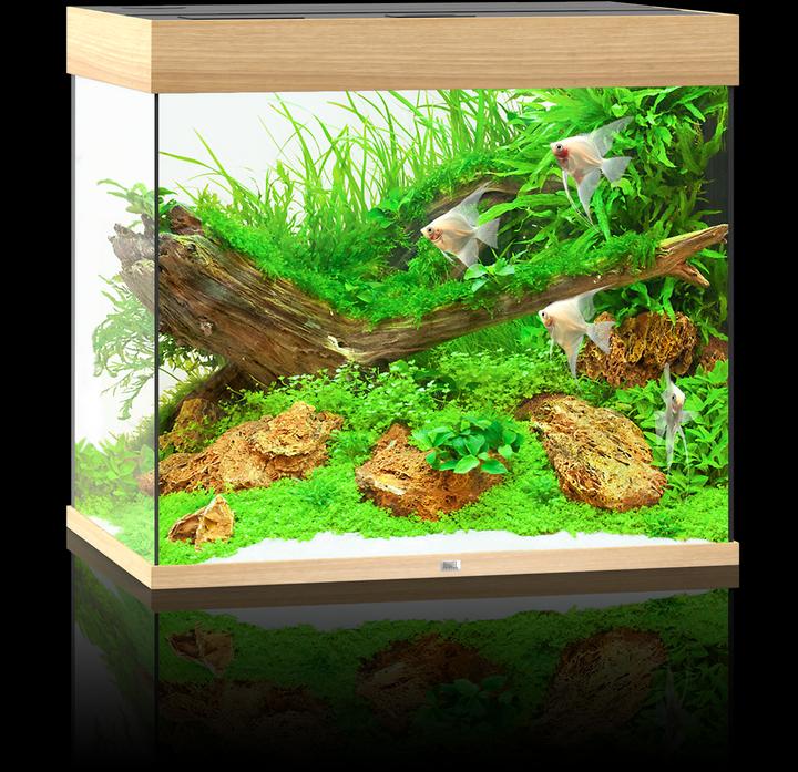 Actual product image Juwel Aquarium Aquarium Lido 200, 71x51x65cm,bright (200 l)