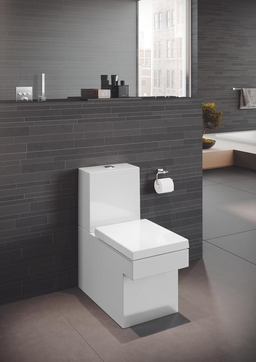 Actual product image Grohe Euphoria