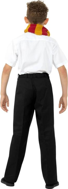 Actual product image Smiffys Boys Schoolboy Costume Accessory Set (One size)