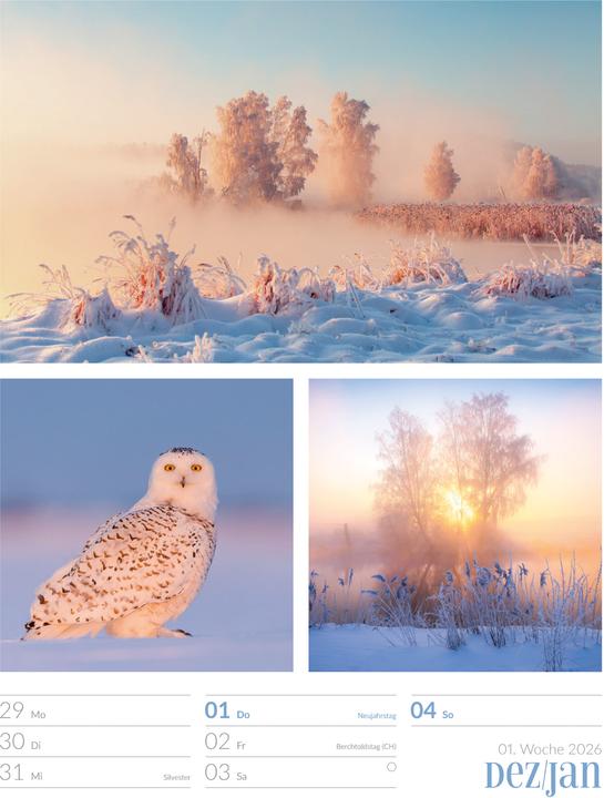 Actual product image Farben der Natur - Wochenplaner Kalender 2026 (25 x 33 cm, Hardcover, German)