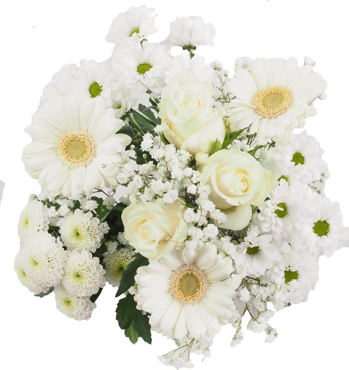 White