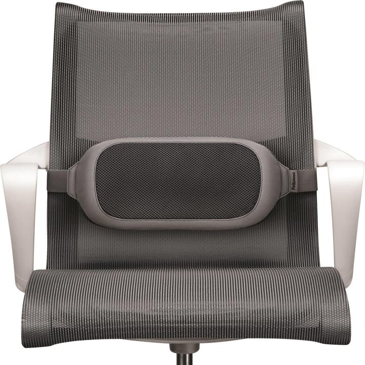 Immagine prodotto Fellowes Cuscino lombare, poliestere (35 x 6 x 16 cm)