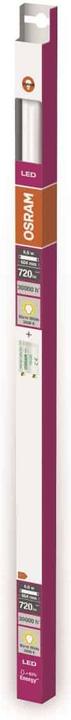 Actual product image Osram ST8SP-0.6M 6.6W/830 220-240V EM 8X1OSRAM (G13, 6.60 W, 720 lm, 8 x, F)