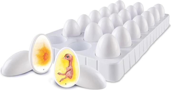 Produktbild Learning Resources Lebenszyklus Huhn