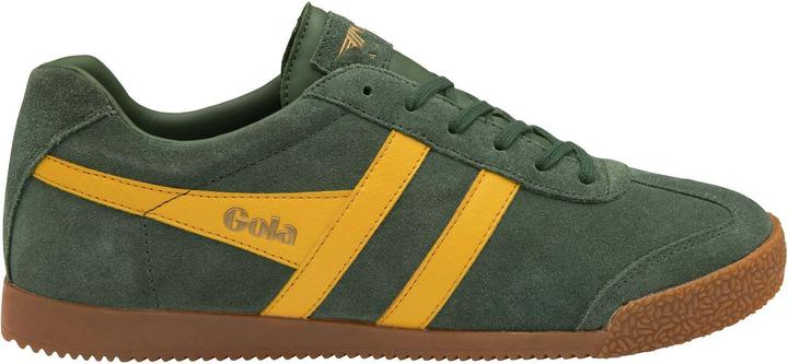 Gola Harrier