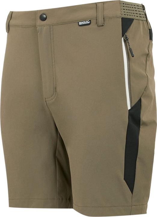 Actual product image Regatta Mens Mountain II Shorts (52 D)