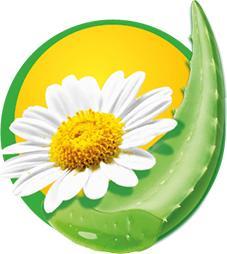 Actual product image Hakle Nurturing cleanliness (168 Piece)