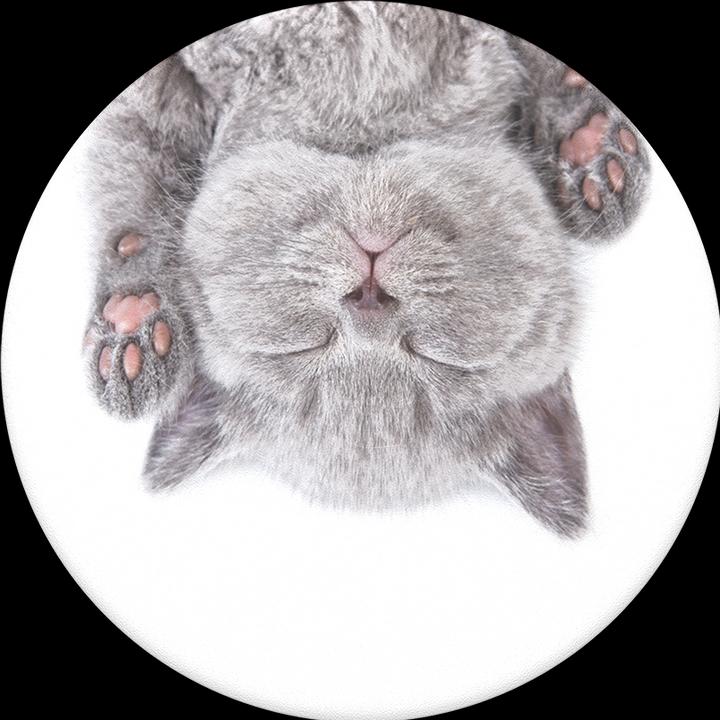 Image du produit PopSockets sieste du chat