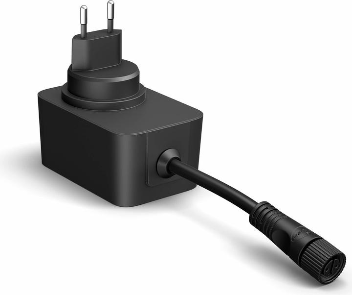Actual product image Philips Hue Festavia (Swiss plug) (40 m)