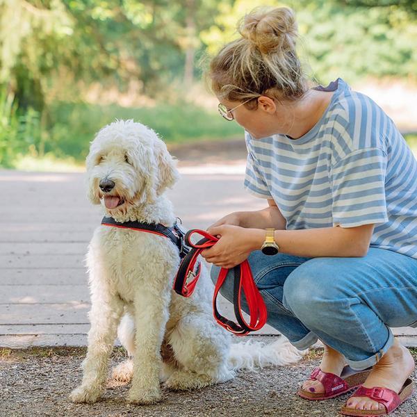 Produktbild Nobby Norwegergeschirr Mesh Preno (M, L, Hund, Allgemein)