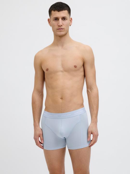 Actual product image Jack & Jones Shorts Shorts (L, pack of 3)