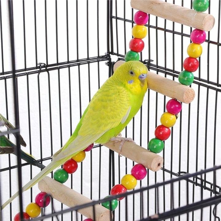 Actual product image Jamb Bird cage with toy
