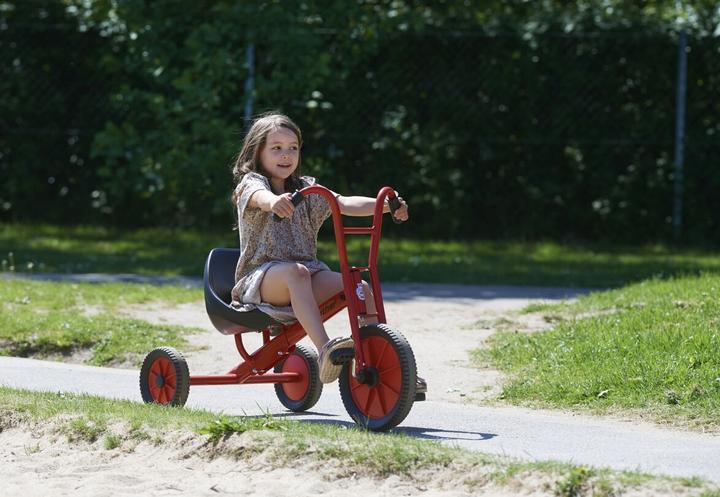 Actual product image Winther Viking tricycle Maxi