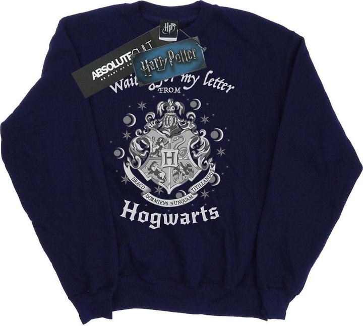 Produktbild Hogwarts Waiting For My Letter Sweatshirt Mädchen (152, 158)