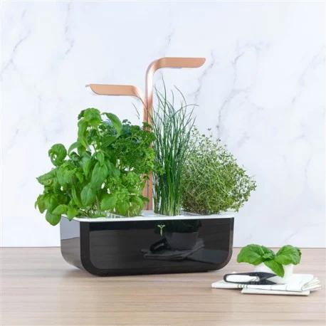 Actual product image Véritable Smart (18.50 cm)