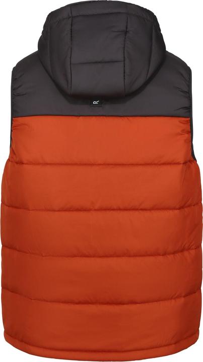 Immagine prodotto Regatta Nevado Gilet Imbottito Pesante Senza Maniche Uomo (XL)
