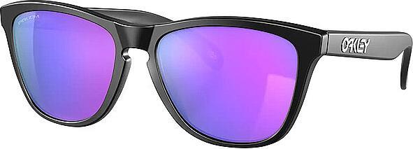 Oakley Lifestylebrille Frogskins