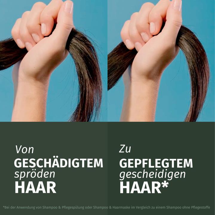 Image du produit Herbal Essences Réparation à l'huile d'argan (300 ml)