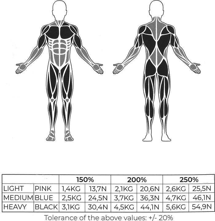 Image du produit Luxtri Bandes de fitness avec 3 Niveaux de résistance léger, moyen et haut, Bandes de résistance en 100% de (0.18 m)