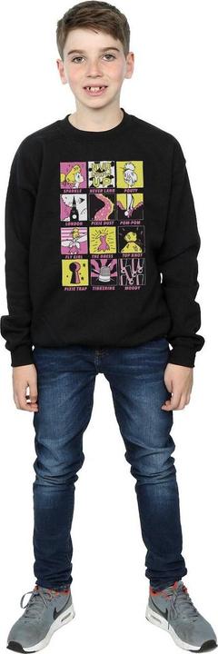 Actual product image Disney Boys Tinkerbell Squares Sweatshirt (140, 146)