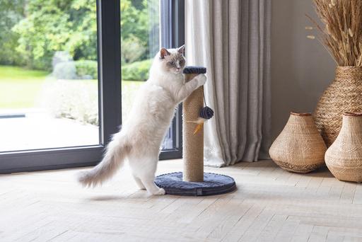 Actual product image Designed by Lotte Scratching post (50 cm, Charcoal)