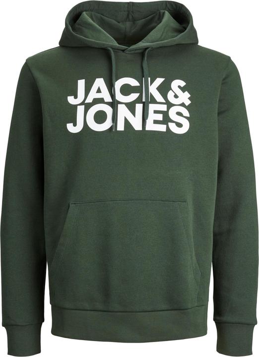 Image du produit Jack & Jones Logo Hoodie (L)