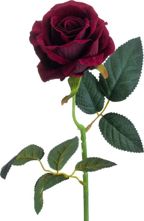 Produktbild Hill Interiors Künstliche Teerose (53 cm)