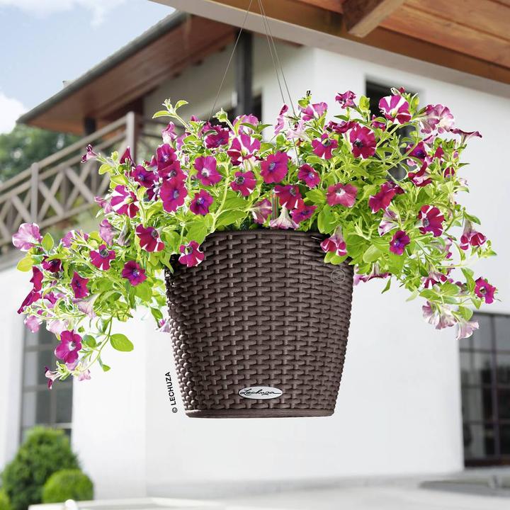 Produktbild Lechuza Nido Cottage (27 cm)