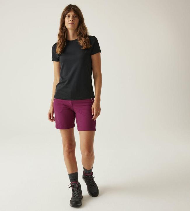 Image du produit Regatta Mountain Shorts II (XS)