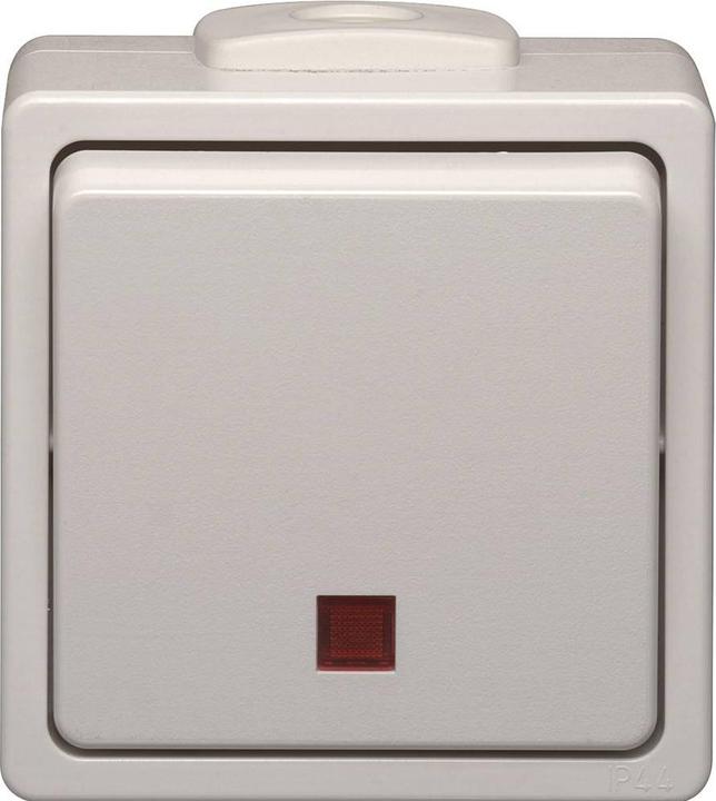 Produktbild N&L Elektrotechnik N & L 28383 Kontrollschalter Komplett Aufputz Hellgrau