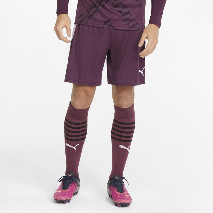 Image du produit Puma teamLIGA Shorts (XXL)