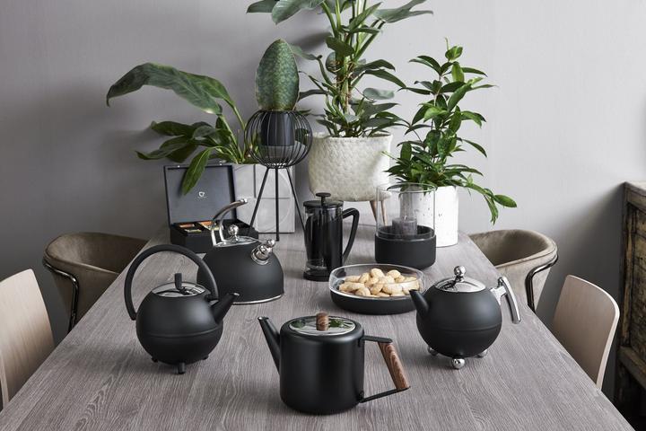 Actual product image Bredemeijer Saturn (1.20 l)