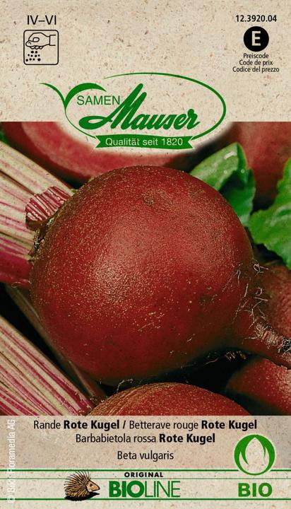 Image du produit Samen Mauser Boule rouge à bord organique (Graines de légumes)
