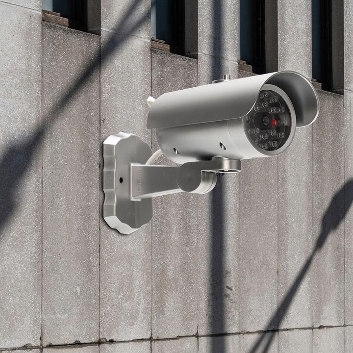 Image du produit Casativo Lot de 2 caméras de surveillance factices avec détecteur de mouvement et lumière rouge clignotante