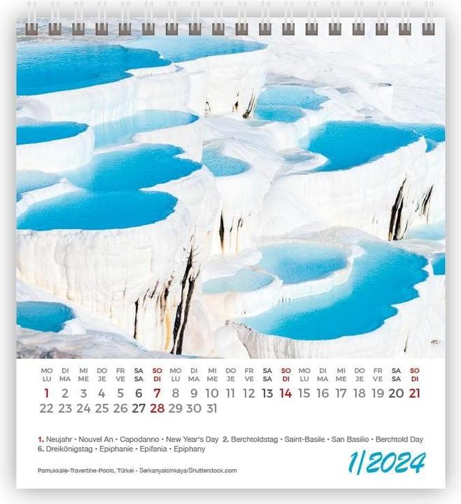 Produktbild Kalender Lustige Tiere Mini 2024 (11 x 10 cm)