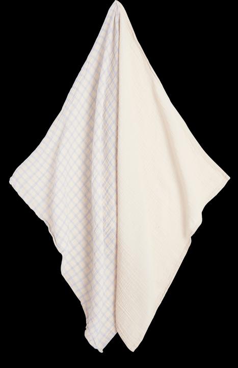 Actual product image Garbo & Friends 2 pack muslin blanket 60x60 Cm Gingham Sky (60 x 60 cm)
