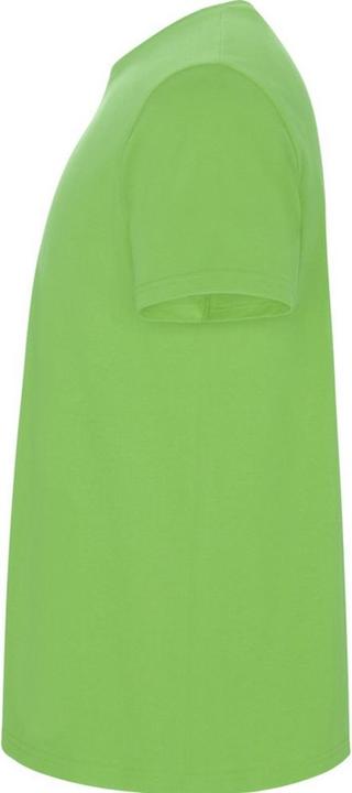 Immagine prodotto Alpinia Stafford Maglietta Uomo (3XL)