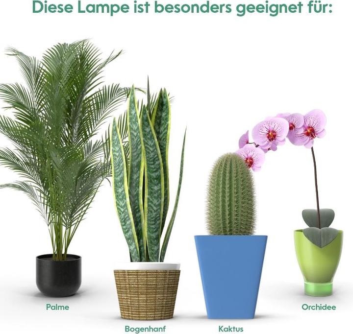 Image du produit Parus by Venso SUNLiTE XL 25 (LED, 230 V)