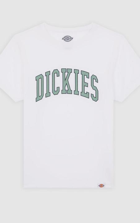 Dickies Aitkin Tee SS K (XL)