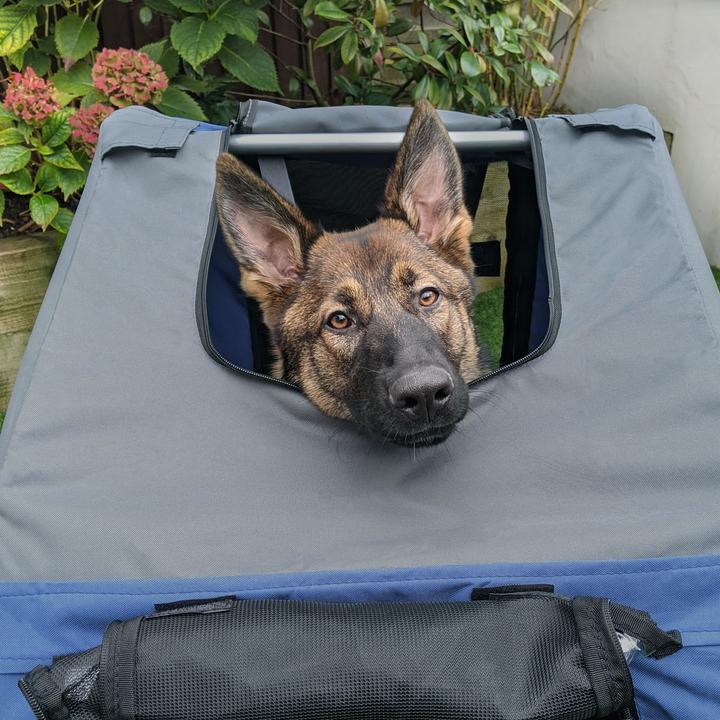 Actual product image PawHut Bicycle trailer for dogs