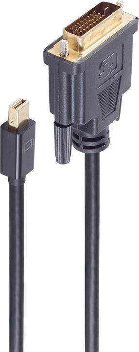 Actual product image Shiverpeaks BS10-55025 Cable interface/adapter Mini Displayport DVI-D Black (1 m, DisplayPort)