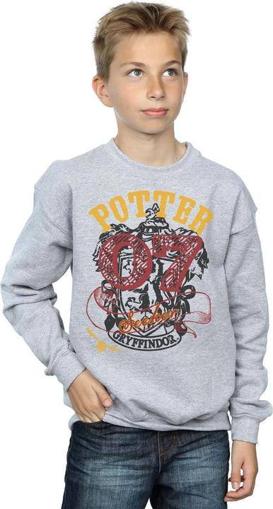 Actual product image Boys Gryffindor Seeker Sweatshirt (152, 158)