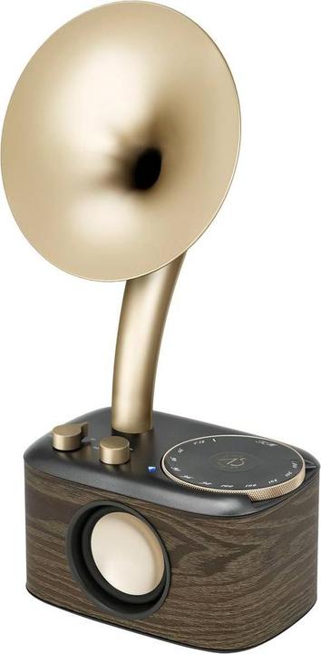 Actual product image Sangean WR-45X Gold Radio VHF (FM) AUX, Bluetooth Oplaadbaar Zwart, Goud (FM, VHF, Bluetooth)