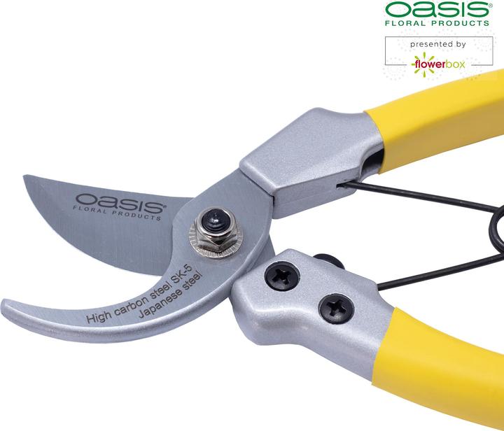 Immagine prodotto Oasis Forbici da fiorista