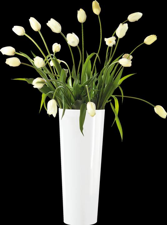 Image du produit ASA Selection blanc (1 x)