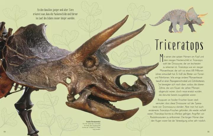 Immagine prodotto Wundervolle Welt der Dinosaurier und der Urzeit (Tedesco, Anusuya Chinsamy-Turan, 2022)